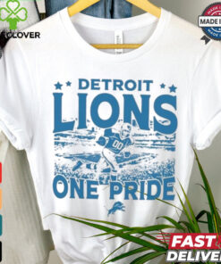 Detroit Lions Gameday One Pride Vintage Stadium Shirt