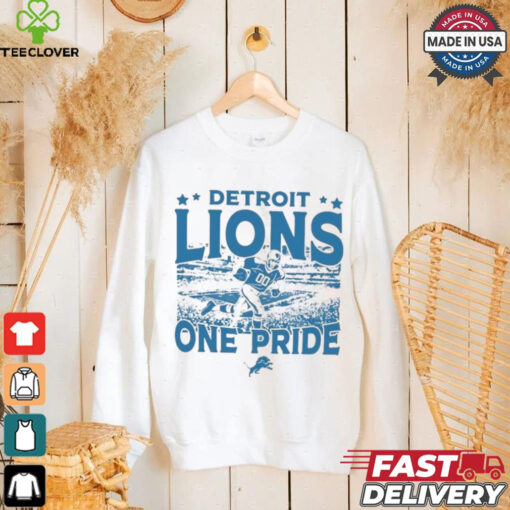 Detroit Lions Gameday One Pride Vintage Stadium Shirt