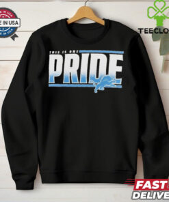 Detroit Lions This Is One Pride T Shirts