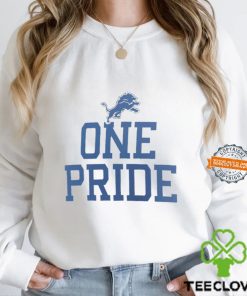 Detroit Lions one pride slogan hoodie, sweater, longsleeve, shirt v-neck, t-shirt