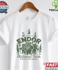 Disney Endor Shirt, Star Wars Planet Shirt