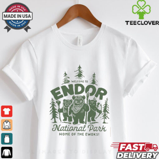Disney Endor Shirt, Star Wars Planet Shirt