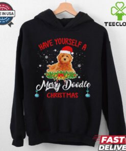 Dog Santa hat have yourself a Merry Christmas pet lovers shirt
