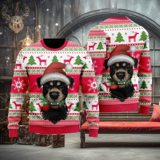 Dog Santas Hat Holiday Time Pattern Ugly Christmas Sweater Funny Gift For Men And Women Family Holidays