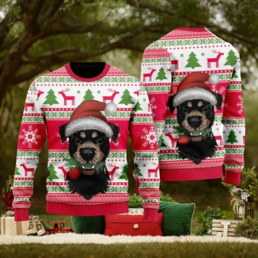 Dog Santas Hat Holiday Time Pattern Ugly Christmas Sweater Funny Gift For Men And Women Family Holidays