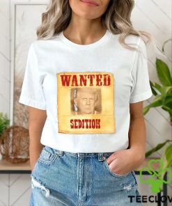 Donald Trump Wanted Sedition 2023 shirt