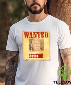 Donald Trump Wanted Sedition 2023 shirt