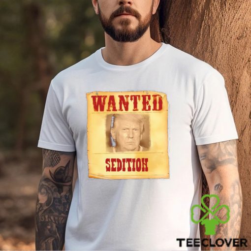 Donald Trump Wanted Sedition 2023 shirt