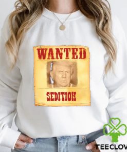 Donald Trump Wanted Sedition 2023 shirt