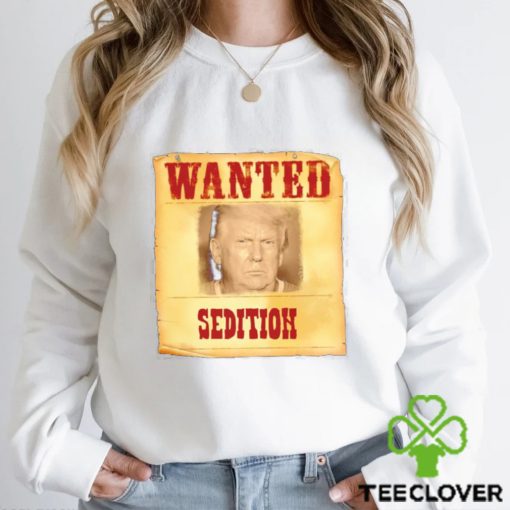Donald Trump Wanted Sedition 2023 shirt