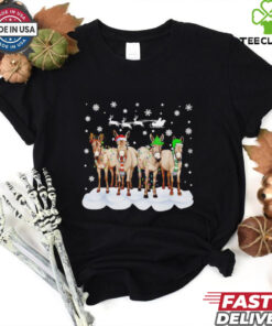 Donkey Christmas santa hat farmer shirt
