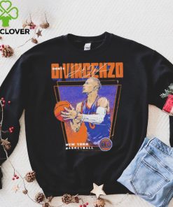 Donte DiVincenzo New York Knicks Premiere hoodie, sweater, longsleeve, shirt v-neck, t-shirt