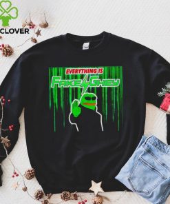 Everything is fake ghey hoodie, sweater, longsleeve, shirt v-neck, t-shirt