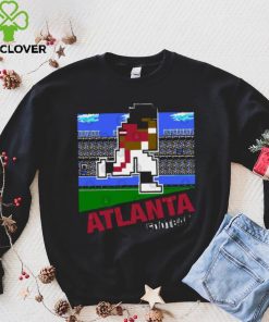 Funny Atlanta Falcons T Shirt Gift For Fan