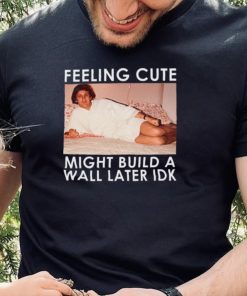 Feeling Cute Might Build a Wall Later Idk Shirt, Hoodie