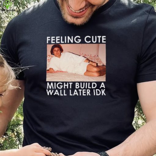 Feeling Cute Might Build a Wall Later Idk Shirt, Hoodie