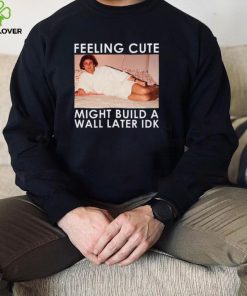 Feeling Cute Might Build a Wall Later Idk Shirt, Hoodie