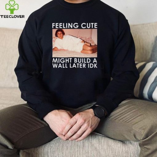 Feeling Cute Might Build a Wall Later Idk Shirt, Hoodie