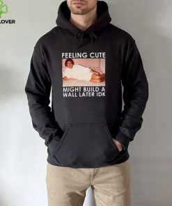 Feeling Cute Might Build a Wall Later Idk Shirt, Hoodie