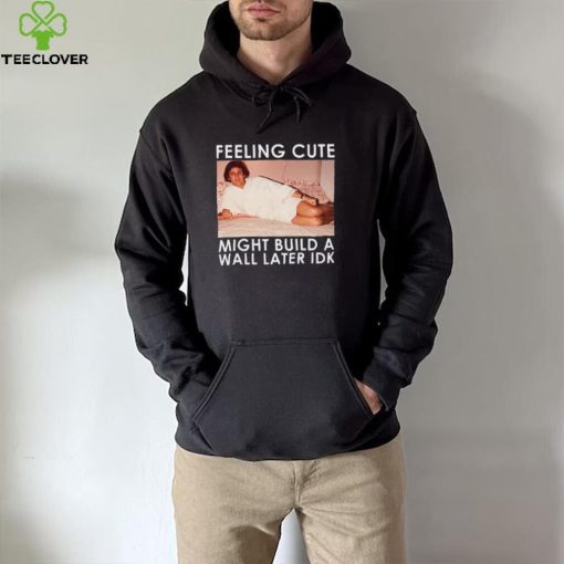 Feeling Cute Might Build a Wall Later Idk Shirt, Hoodie