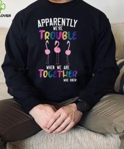 Flamingos Apparently We’re Trouble When We Are Together Who Knew Shirt, Hoodie