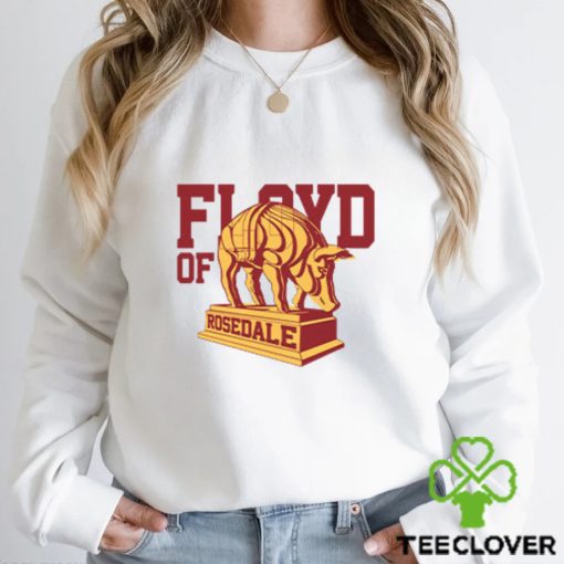 Floyd Of Rosedale Invalid Signals article 3 T Shirt