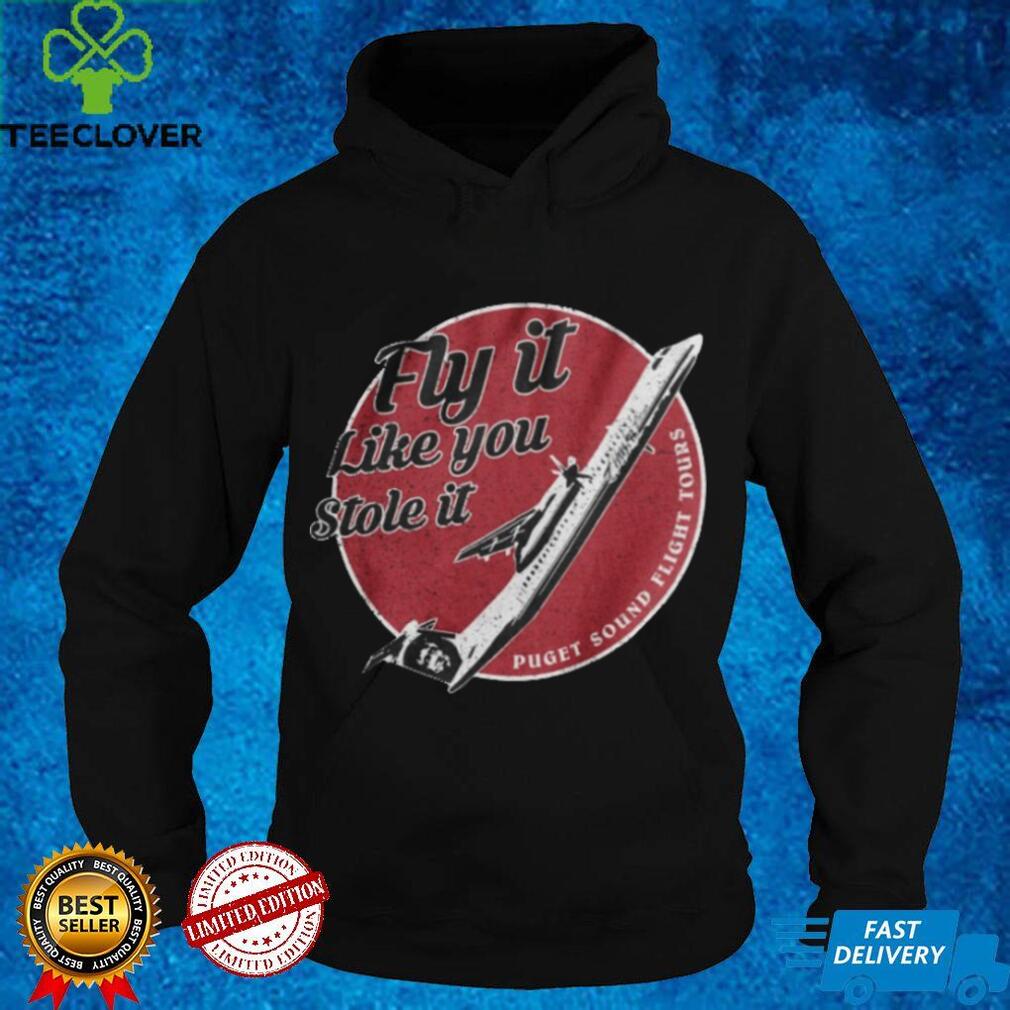 Fly It Like You Stole It Hoodie T shirt Fly It Like You Stole It Hoodie T shirt