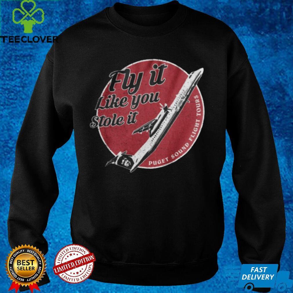 Fly It Like You Stole It Hoodie T shirt Fly It Like You Stole It Hoodie T shirt