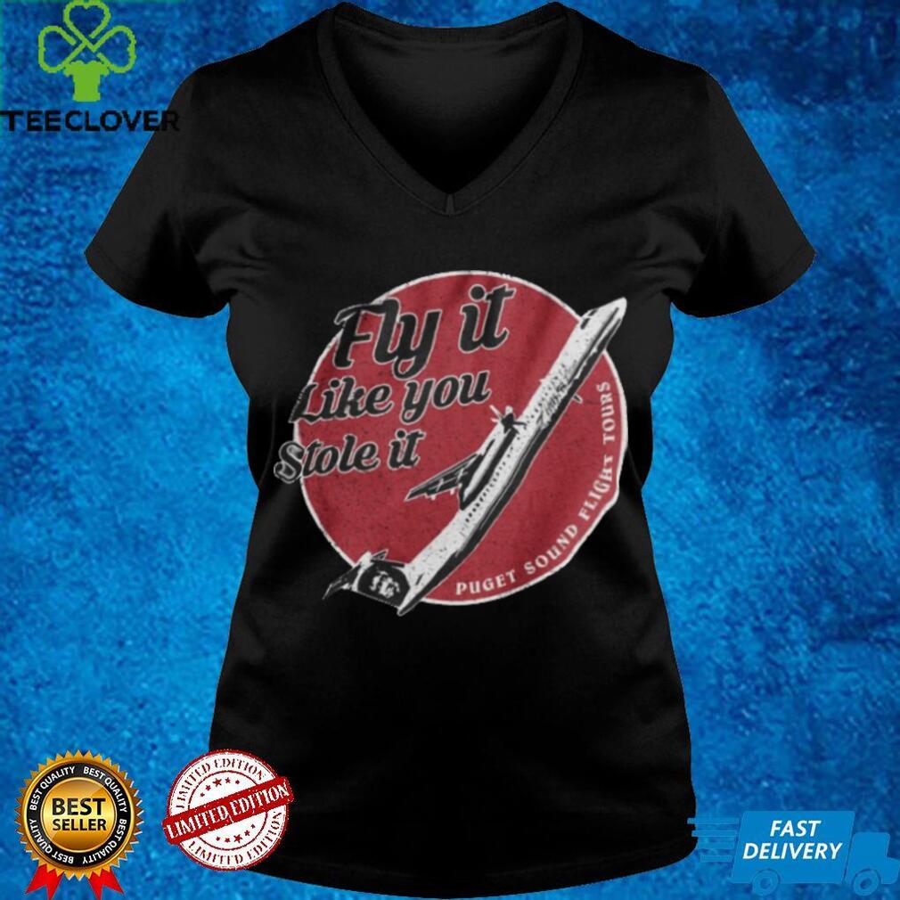Fly It Like You Stole It Hoodie T shirt Fly It Like You Stole It Hoodie T shirt