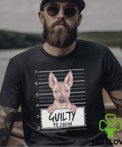 Funny American Hairless Terrier Dog Mugshot Pet Portrait Gift Lover Shirt Hoodie Classic