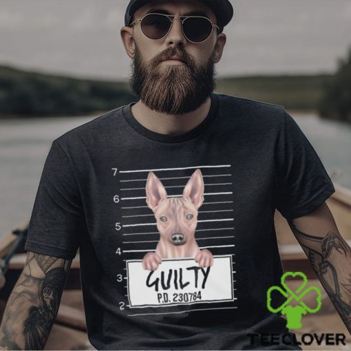 Funny American Hairless Terrier Dog Mugshot Pet Portrait Gift Lover Shirt Hoodie Classic