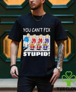 Funny Detroit Lions You Cant Fix Stupid Shirt