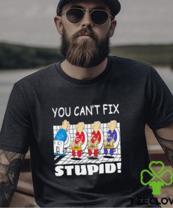 Funny Detroit Lions You Cant Fix Stupid Shirt 3 Funny Detroit Lions You Cant Fix Stupid Shirt