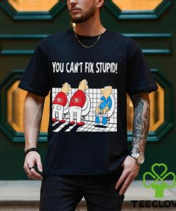 Funny San Francisco 49ers You Cant Fix Stupid Detroit Lions Shirt