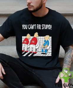 Funny San Francisco 49ers You Cant Fix Stupid Detroit Lions Shirt