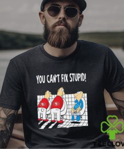 Funny San Francisco 49ers You Cant Fix Stupid Detroit Lions Shirt
