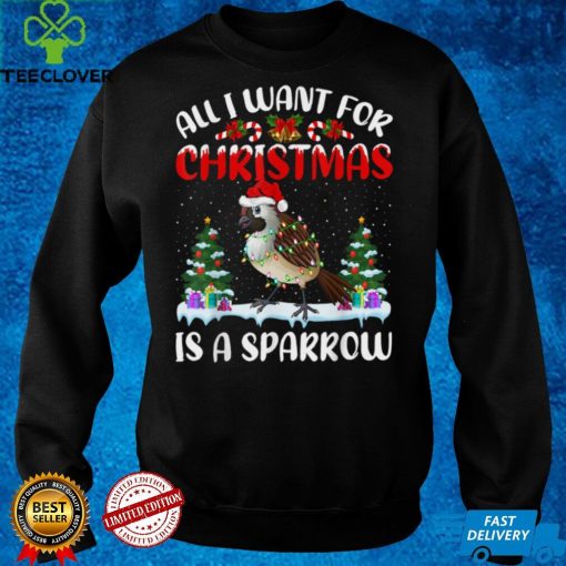 Funny Santa Hat All I Want For Christmas Is A Sparrow T Shirt tee