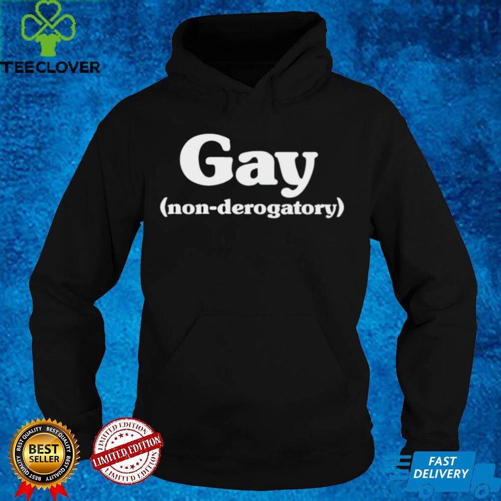 Gay Non Derogatory Women T Shirt Gay Non Derogatory Women T Shirt