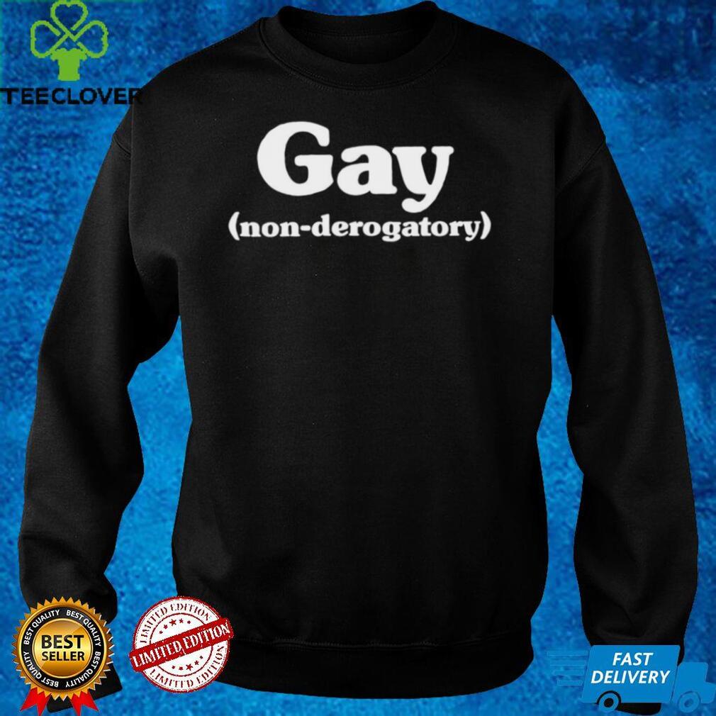 Gay Non Derogatory Women T Shirt Gay Non Derogatory Women T Shirt