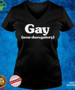 Gay Non Derogatory Women T Shirt 3 Gay Non Derogatory Women T Shirt