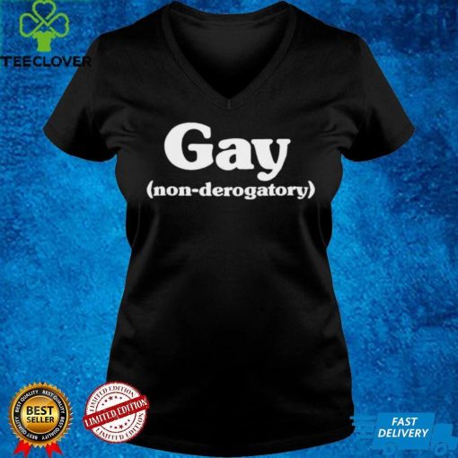 Gay Non Derogatory Women T Shirt