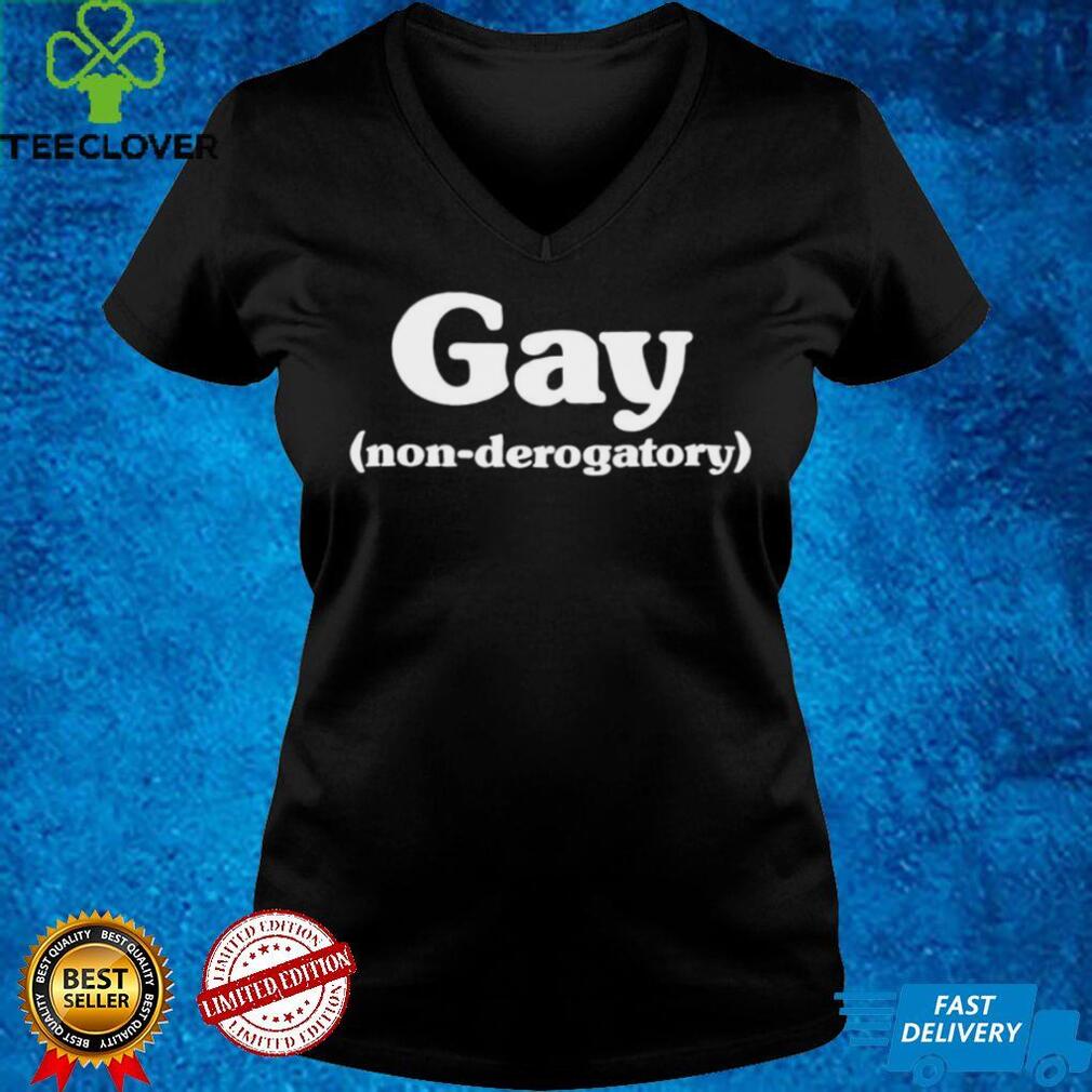 Gay Non Derogatory Women T Shirt Gay Non Derogatory Women T Shirt