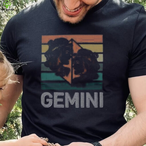Gemini Horoscope Shirt, Gemini Birthday, Astrology T shirt, Zodiac Tee
