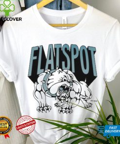 Georgia Bulldogs Flatspot records spoiler shirt