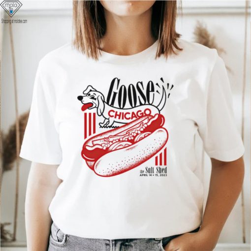 Goose Chicago the Salt shed April 2023 art shirt