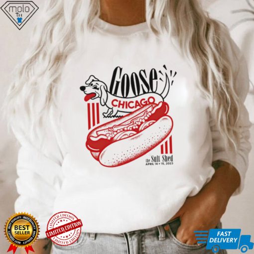 Goose Chicago the Salt shed April 2023 art shirt