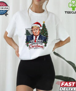 Got what I wanted for Christmas Trump Santa shirt