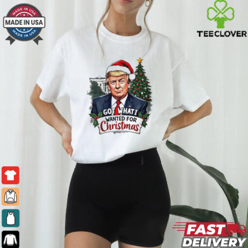 Got what I wanted for Christmas Trump Santa shirt