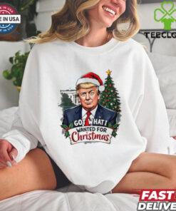 Got what I wanted for Christmas Trump Santa shirt