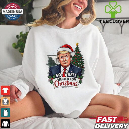 Got what I wanted for Christmas Trump Santa shirt